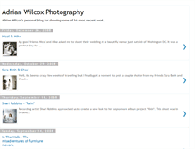 Tablet Screenshot of adrianwilcox.blogspot.com