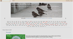 Desktop Screenshot of followthefever.blogspot.com
