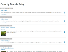 Tablet Screenshot of crunchygranolababy.blogspot.com