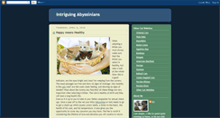 Desktop Screenshot of intriguingabyssinians.blogspot.com