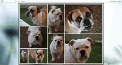 Desktop Screenshot of littleaussiekennels.blogspot.com