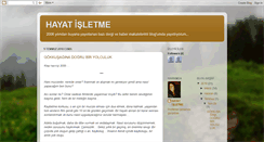 Desktop Screenshot of hayatisletme.blogspot.com