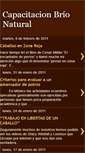 Mobile Screenshot of capacitacionbrionatural.blogspot.com