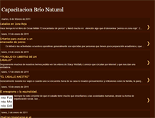 Tablet Screenshot of capacitacionbrionatural.blogspot.com