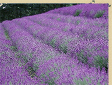 Tablet Screenshot of lavendelblomman.blogspot.com