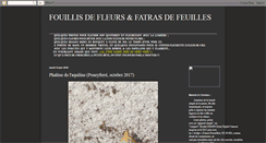 Desktop Screenshot of fouillisdefleursetdefeuilles.blogspot.com