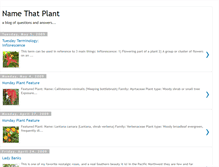 Tablet Screenshot of namethatplant.blogspot.com