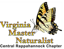 Tablet Screenshot of masternaturalistcrc.blogspot.com