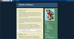 Desktop Screenshot of benefitsofwolfberry.blogspot.com