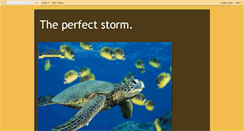 Desktop Screenshot of andra-theperfectstorm.blogspot.com