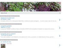 Tablet Screenshot of floresdeciudad.blogspot.com