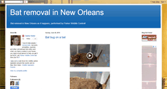 Desktop Screenshot of louisianabats.blogspot.com