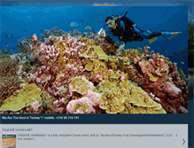 Tablet Screenshot of dive-tn.blogspot.com