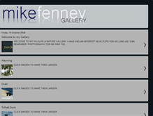 Tablet Screenshot of fenphotogallery.blogspot.com