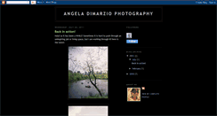 Desktop Screenshot of angeladimarzio.blogspot.com