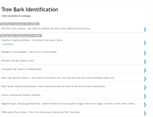 Tablet Screenshot of indianatreebark.blogspot.com