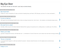 Tablet Screenshot of bigeyedeer.blogspot.com