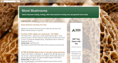 Desktop Screenshot of morelmushrooms.blogspot.com