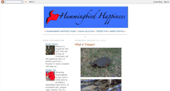 Desktop Screenshot of hummingbirdhappiness.blogspot.com