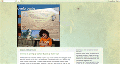Desktop Screenshot of loveforbeatle.blogspot.com