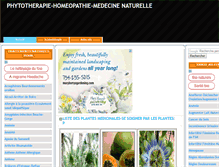 Tablet Screenshot of phytotherapie-homeopathie.blogspot.com