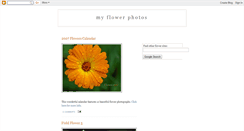 Desktop Screenshot of myflowerphotos.blogspot.com