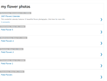 Tablet Screenshot of myflowerphotos.blogspot.com