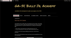 Desktop Screenshot of bullsacademy.blogspot.com