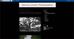 Desktop Screenshot of brennalarsonphotographie.blogspot.com