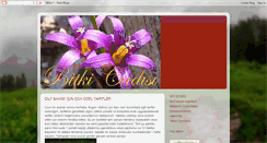Desktop Screenshot of bitkicadisi.blogspot.com
