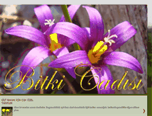 Tablet Screenshot of bitkicadisi.blogspot.com