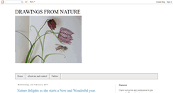 Desktop Screenshot of drawingsfromnature-milly.blogspot.com