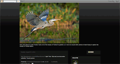 Desktop Screenshot of floridanaturephotographer.blogspot.com