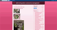 Desktop Screenshot of birusele.blogspot.com