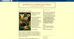 Desktop Screenshot of barrettsesophagus.blogspot.com