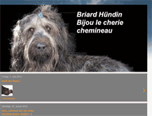 Tablet Screenshot of briard-bijou.blogspot.com