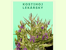 Tablet Screenshot of kostihojlekarsky.blogspot.com