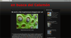 Desktop Screenshot of enbuscadelcalamon.blogspot.com