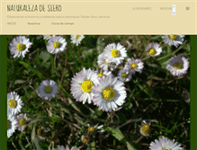 Tablet Screenshot of naturaleza-de-siero.blogspot.com