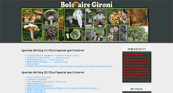 Desktop Screenshot of boletairegironi.blogspot.com