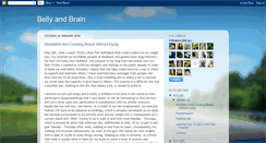 Desktop Screenshot of bellyandbrain.blogspot.com