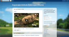 Desktop Screenshot of ingyenajndkbakutyacicagazditkeres.blogspot.com