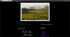Desktop Screenshot of birmutsuz.blogspot.com