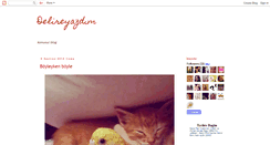 Desktop Screenshot of delireyazdim.blogspot.com
