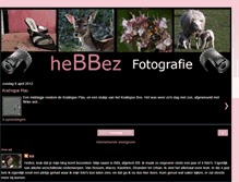 Tablet Screenshot of hebbezfotografie.blogspot.com