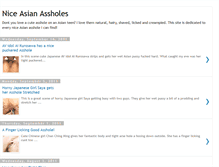 Tablet Screenshot of nice-asian-assholes.blogspot.com