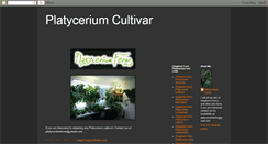 Desktop Screenshot of platyceriumcultivar.blogspot.com