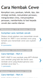 Mobile Screenshot of caranembak.blogspot.com