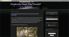 Desktop Screenshot of anybodyseenmyfocus.blogspot.com