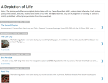 Tablet Screenshot of depiction-of-life.blogspot.com